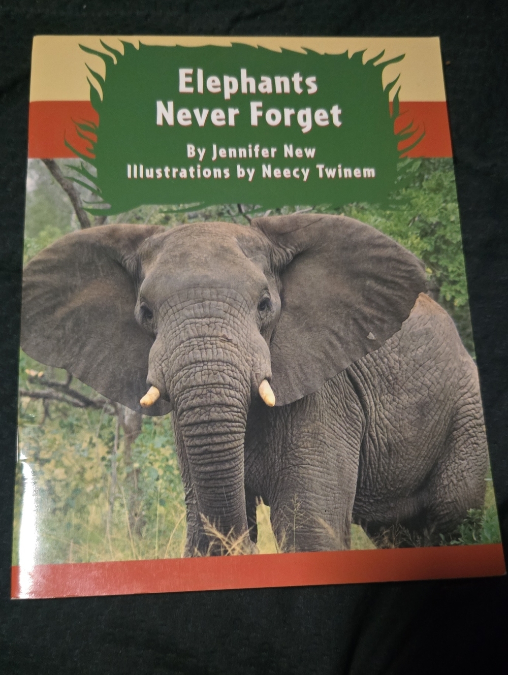 Elephants Never Forget Illustrated Book - Gray Elephant Cover